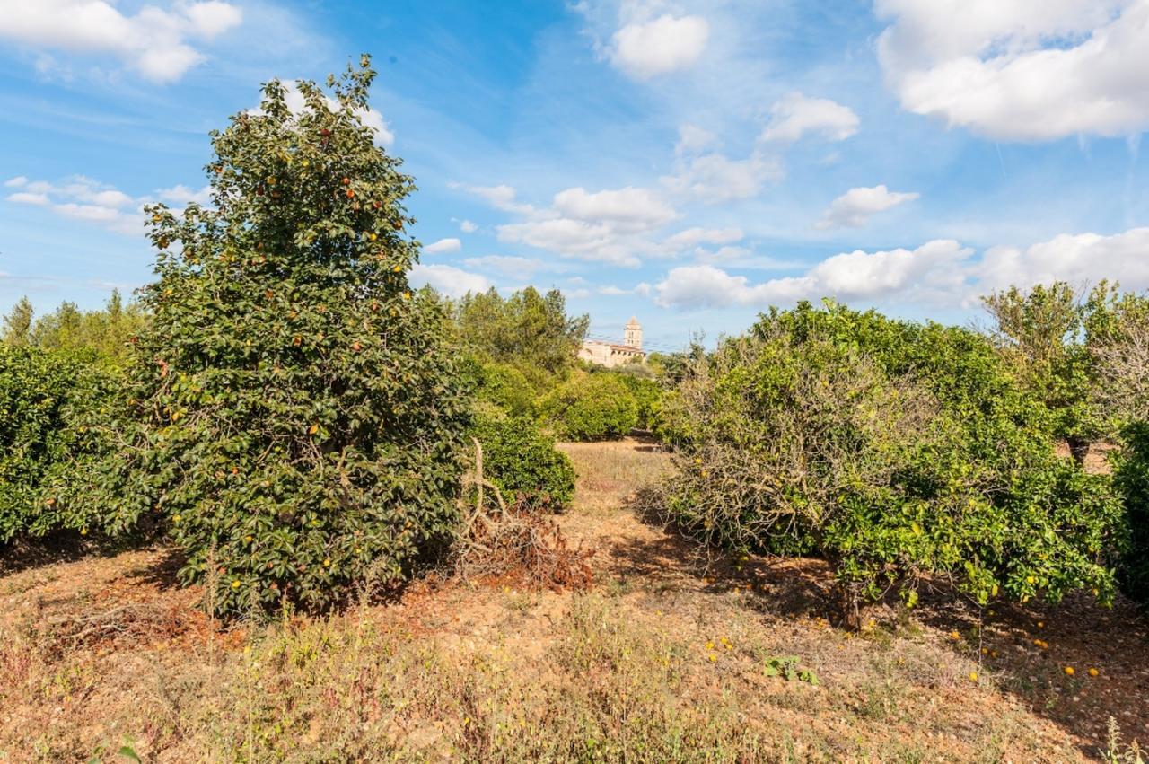 Villa Ses Covetes Petra  Exterior foto